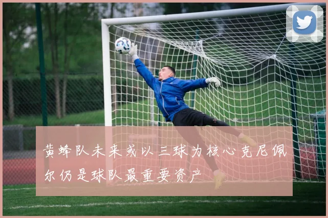 黄蜂队未来或以三球为核心克尼佩尔仍是球队最重要资产