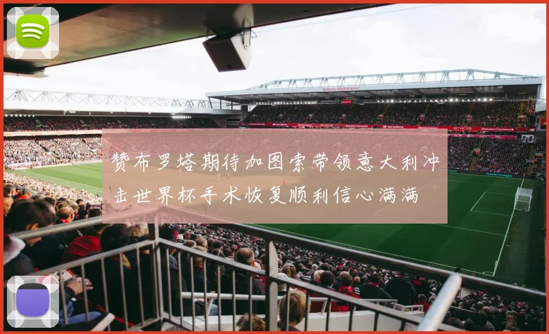 赞布罗塔期待加图索带领意大利冲击世界杯手术恢复顺利信心满满