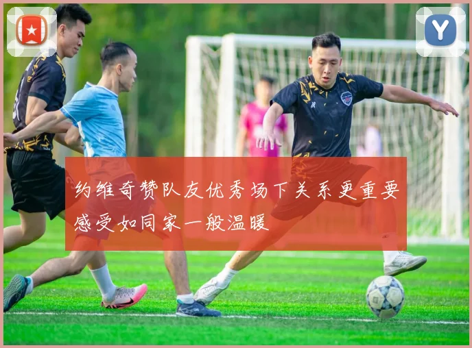 约维奇赞队友优秀场下关系更重要感受如同家一般温暖