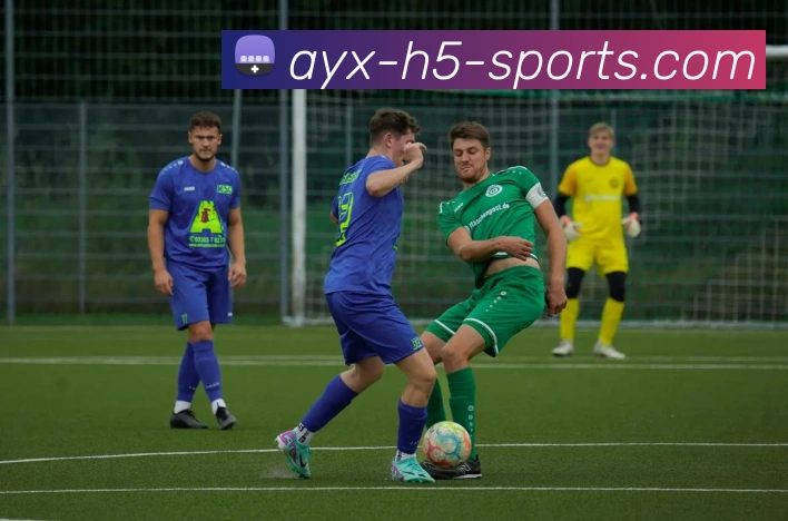 弗拉门戈即将签约雅尔丁接替费利佩任主帅为期两年